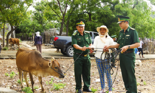 Làm theo lời Bác, Bộ đội Biên phòng Ninh Thuận tích cực giúp dân xóa đói, giảm nghèo